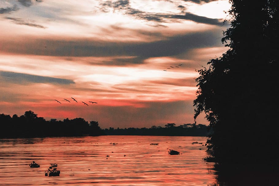 river, water, sunset, kapuas, kalimantan, sky, cloud - sky, HD wallpaper