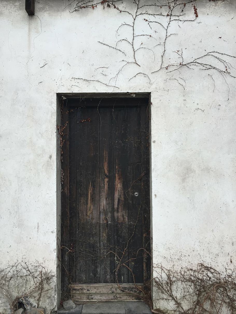 door, white, contrast, old, wood, entrance, white wall, the cannibals HD wallpaper