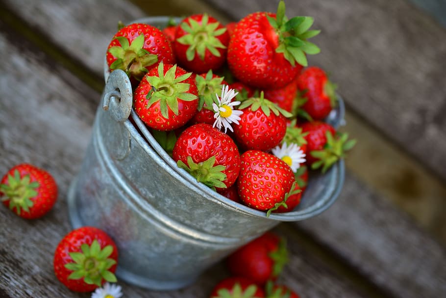 selective focus photography bucket of strawberries, fruit, delicious, HD wallpaper