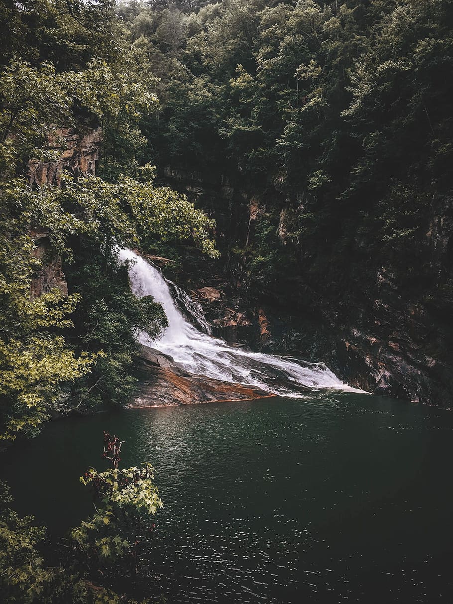 waterfalls, waterfalls between tall green trees at daytime, cascade HD wallpaper