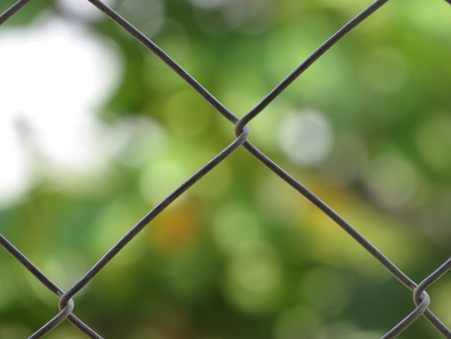 Net, Texture, Wire, Design, Pattern, backdrop, mesh, structure HD wallpaper