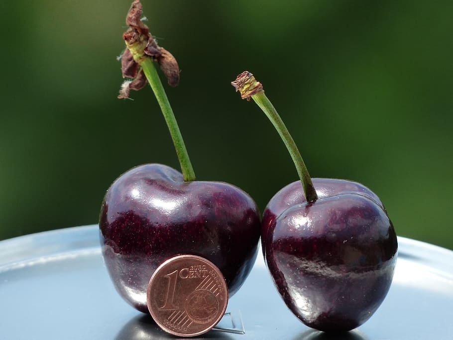 two cherries near 1 cent penny, large, huge, size comparison HD wallpaper
