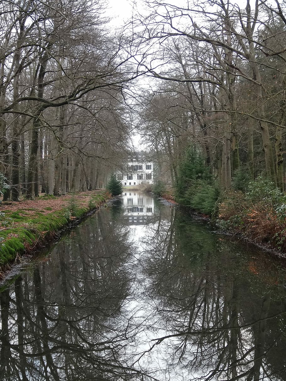 Nature, Flowers, Spring, Netherlands, landscape, water, trees HD wallpaper