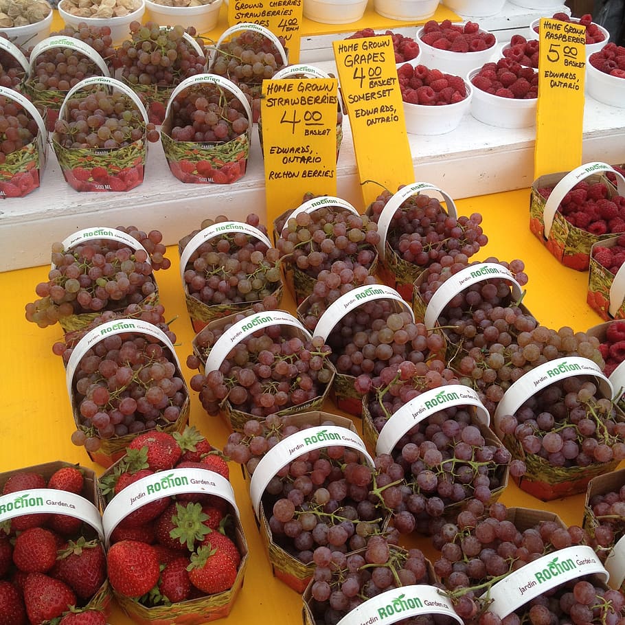 grapes, fruit, market, food, food and drink, freshness, retail HD wallpaper