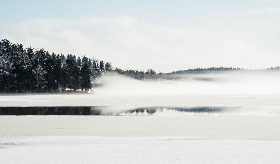 body of water near pine trees, white covered ground with trees on side HD wallpaper