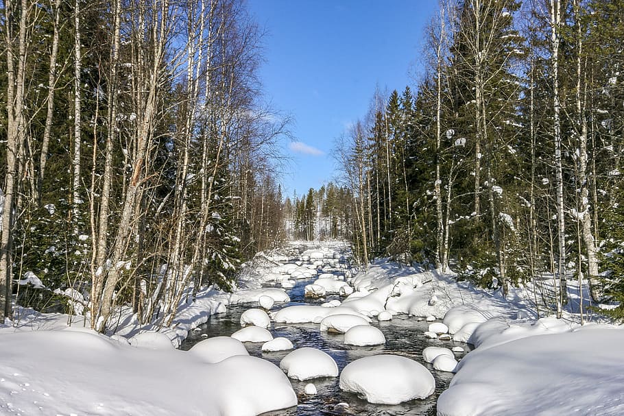 snow covered rocks on body of water between forest during daytime HD wallpaper