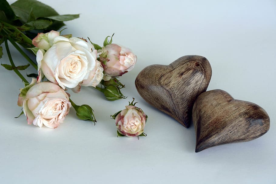 white flowers and brown wooden heart decoration, roses, salmon, HD wallpaper