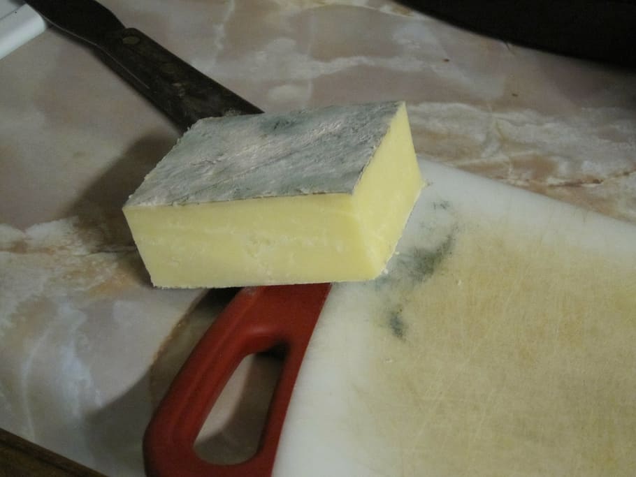mold, on, cheese, food, food and drink, indoors, dairy product HD wallpaper