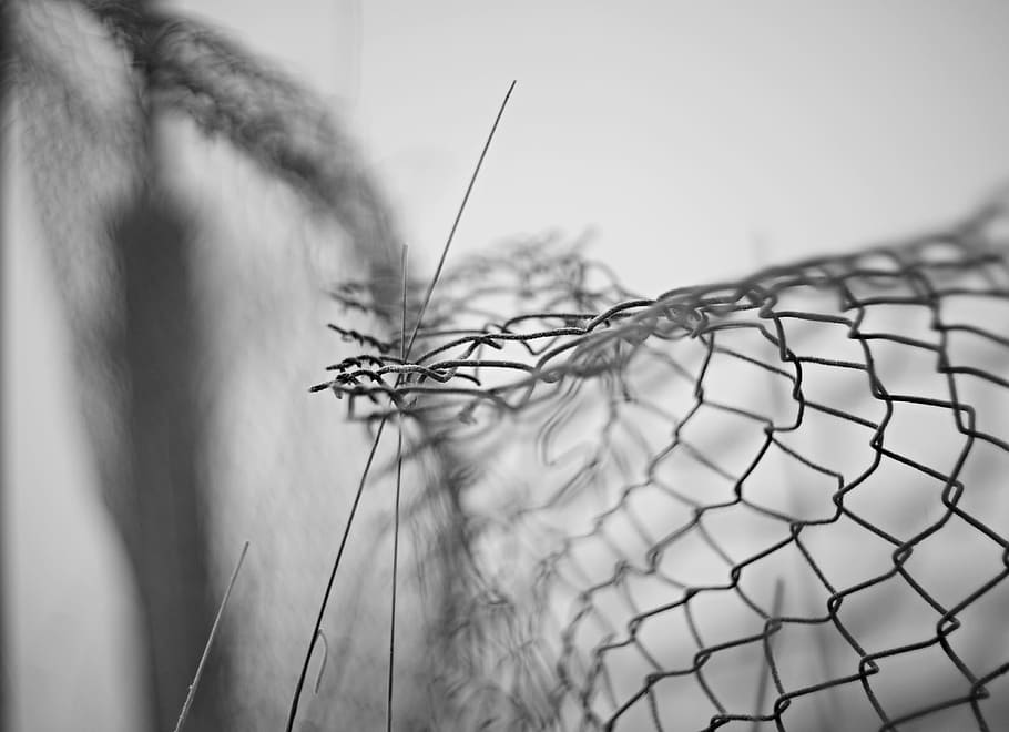 Fence, Old, fencing, close-up, day, no people, nature, indoors HD wallpaper