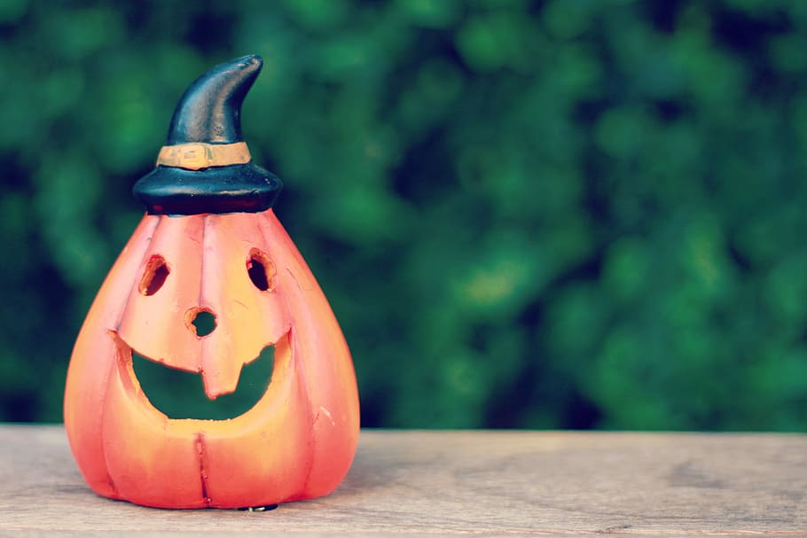 focused photography of red pumpkin with black hat, halloween HD wallpaper