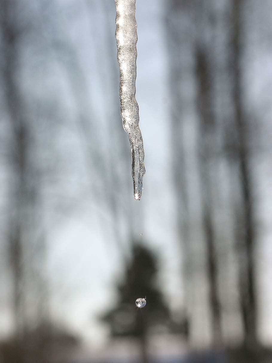 Icicle, Winter, Sweden, cold temperature, snow, frozen, weather HD wallpaper