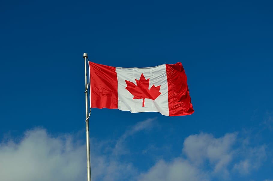 Canadian flag 1080P, 2K, 4K, 5K HD wallpapers free download | Wallpaper  Flare