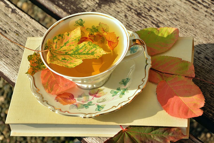 white ceramic teacup set full of tea, tee, autumn, autumn colours, HD wallpaper