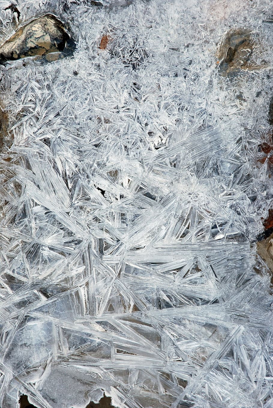ice, cold, winter, nature, close-up, full frame, backgrounds HD wallpaper