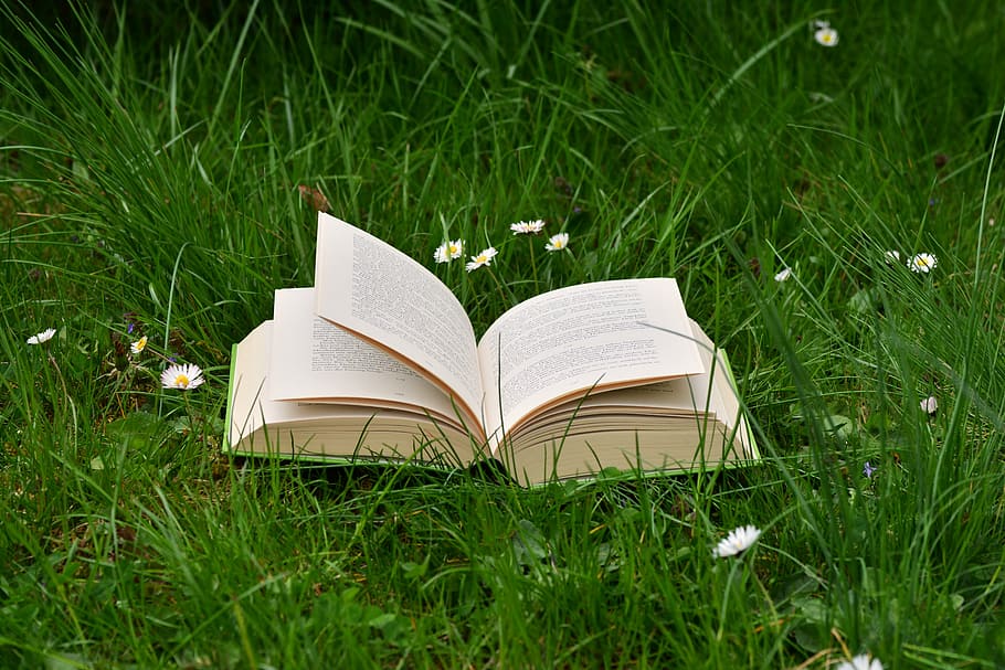 book on green grass during daytime, meadow, read relax, daisy HD wallpaper