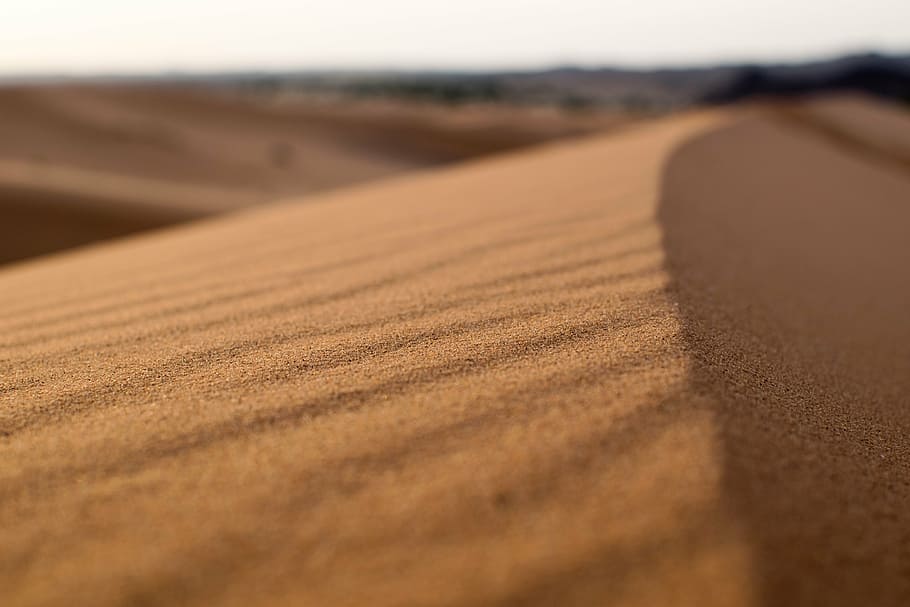 desert, dune, focus, landscape, sand, sand dune, arid climate HD wallpaper