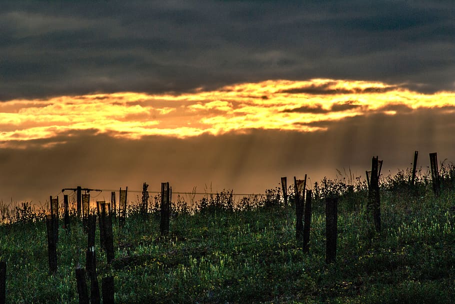 poles, wood, sky, cloud, cloudy, cloudy sky, the evening sky HD wallpaper
