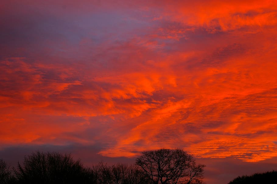 clouds, sky, red, morning, cloud - sky, scenics - nature, beauty in nature HD wallpaper
