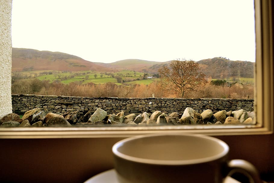 brown concrete fence and stones, cup, window, optimistic, coffee HD wallpaper