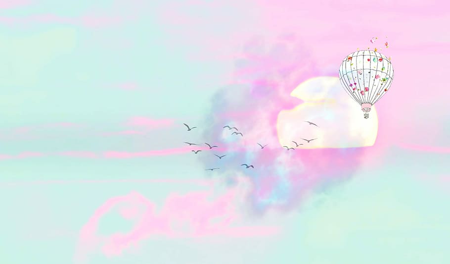 illustration of white and pink hot air balloon and black flying birds, HD wallpaper