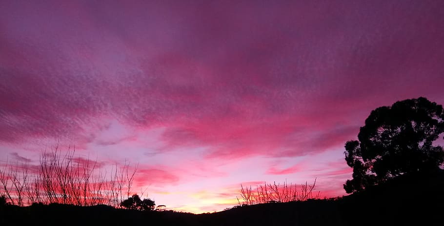 sunrise, clouds, purple, winter, morning, nature, australia HD wallpaper