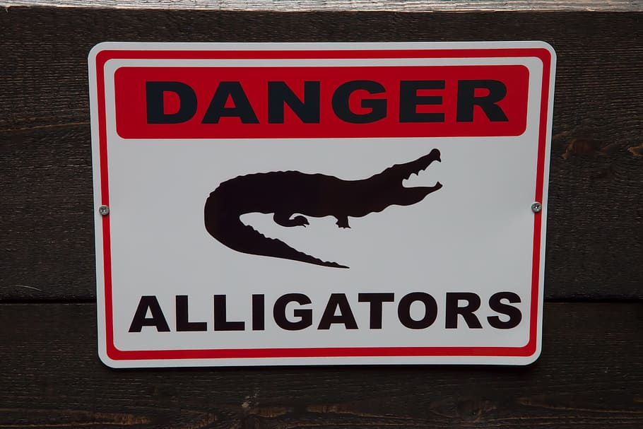 attention, danger, warning, caution, warning sign, board, alligator, HD wallpaper