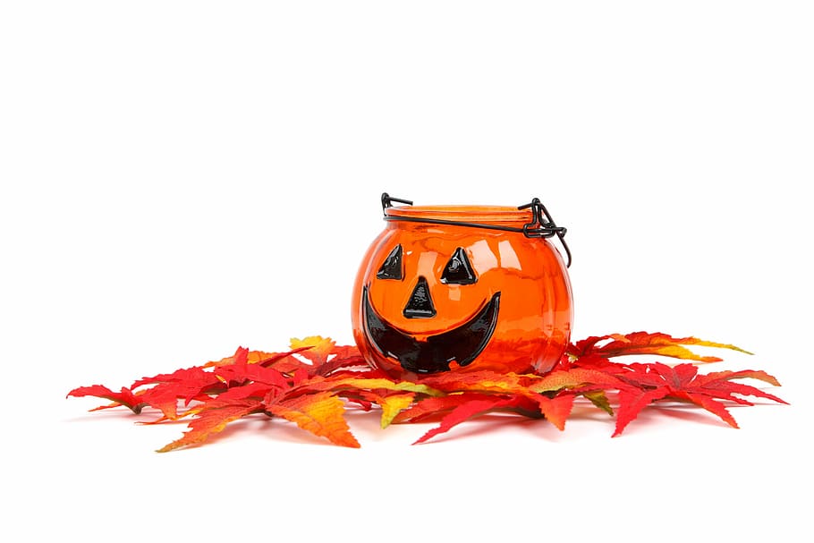 Autumn, Decoration, Face, Fall, funny, gourd, halloween, head HD wallpaper