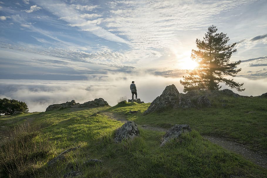 man standing on rock surrounded by grass, mountain, highland HD wallpaper
