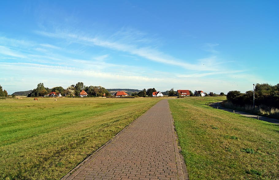 hiddensee, dike, green, sky, reported, landscape, field, plant HD wallpaper
