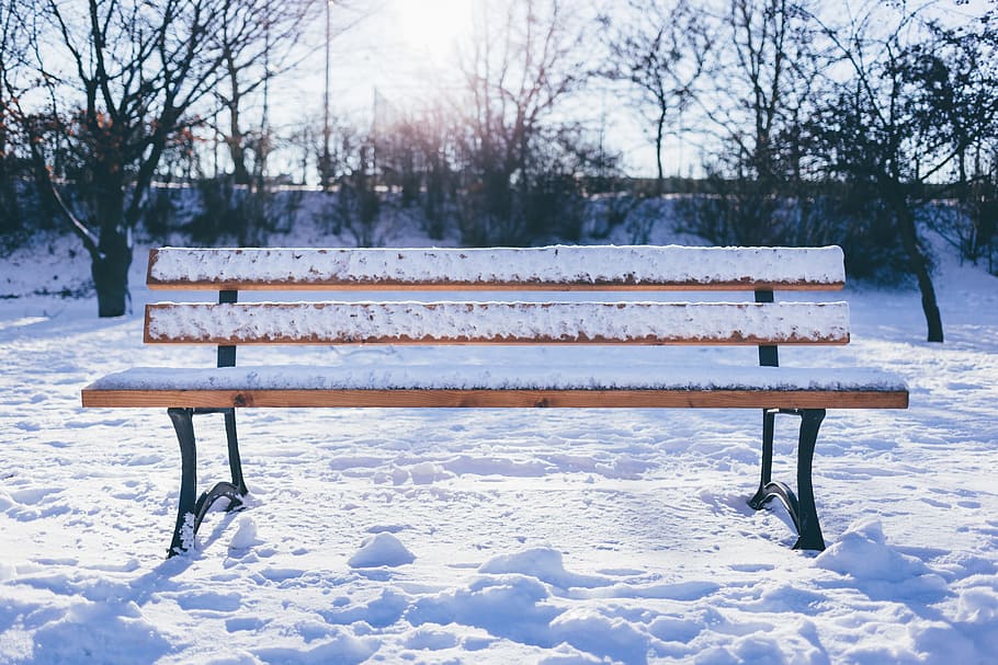 bench, outdoor, snow, winter, iceberg, trees, plant, sunny HD wallpaper