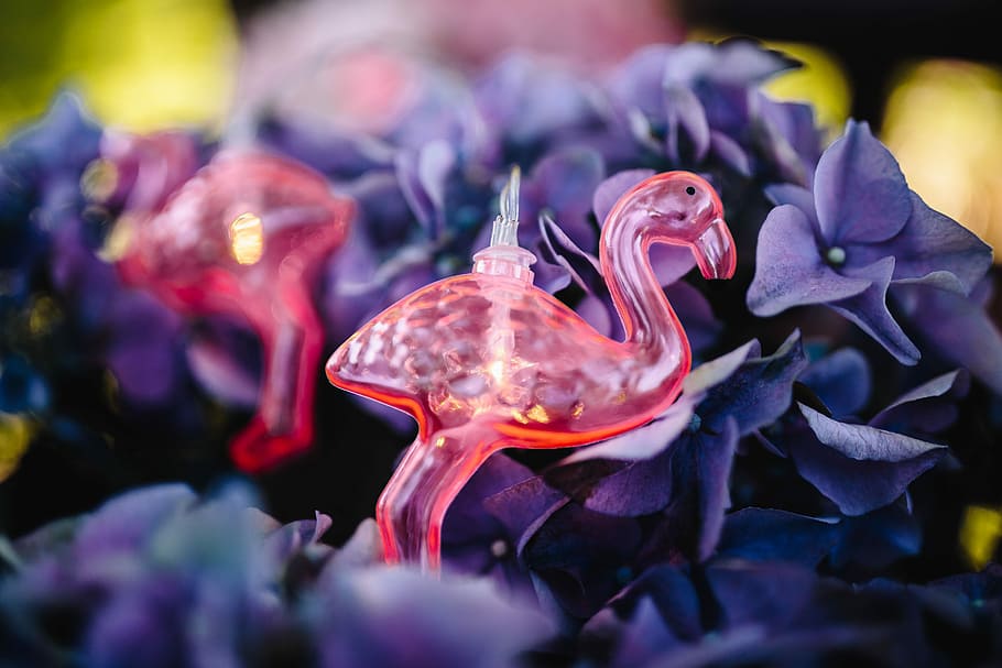 Flamingo light garland & pink flowers, summer, lamp, fun HD wallpaper