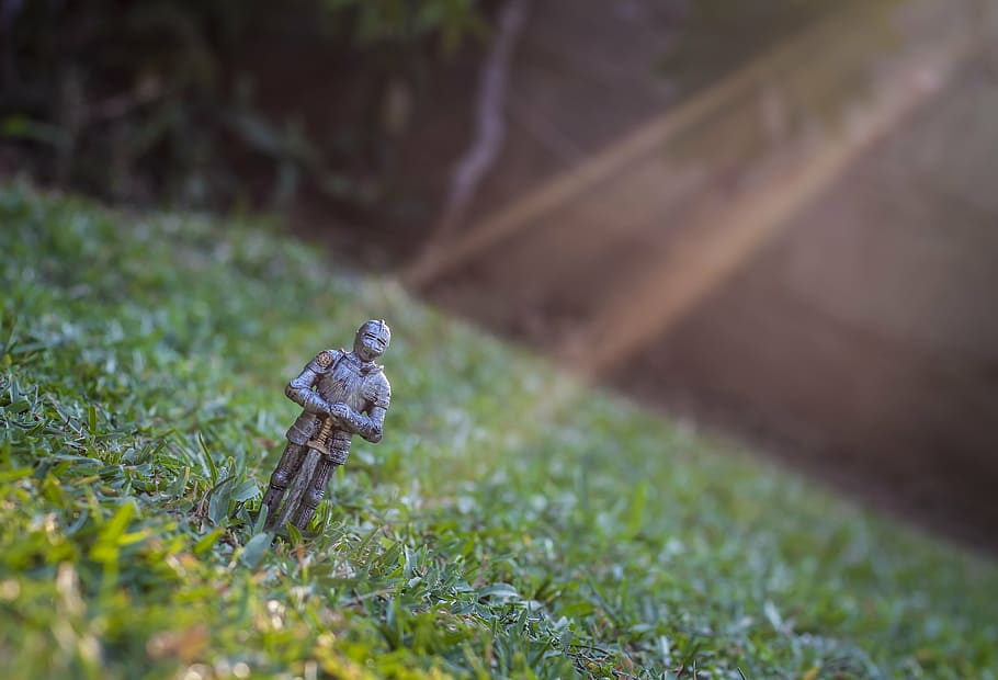sunlight, statue, ray, knight, grass, plant, animal wildlife HD wallpaper