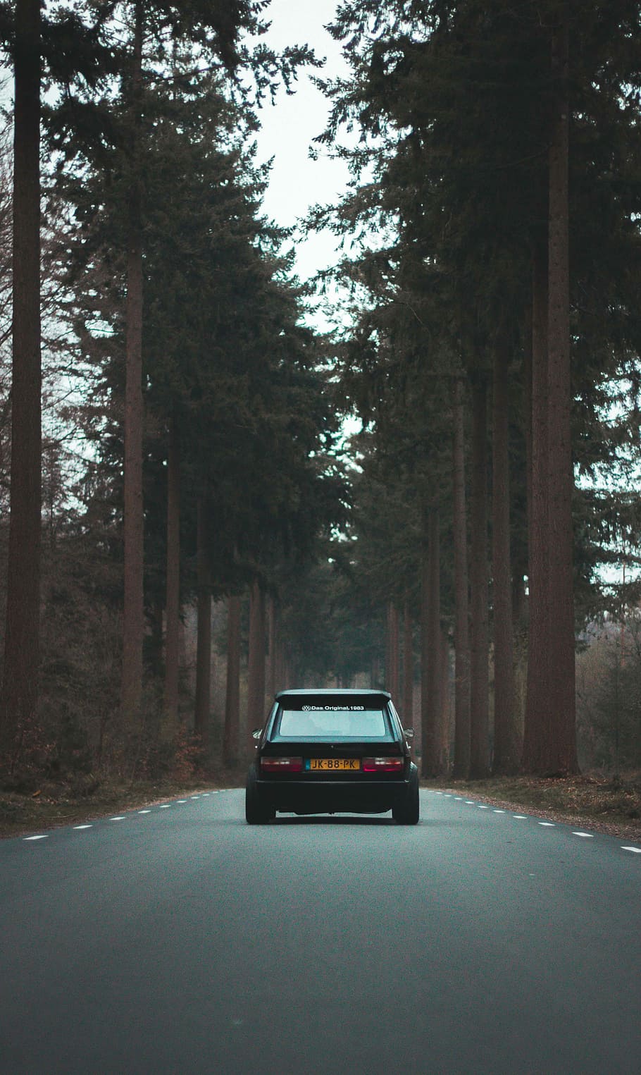 black 5-door hatchback driving in middle of road surrounded by trees during daytime, black car on road between trees during day