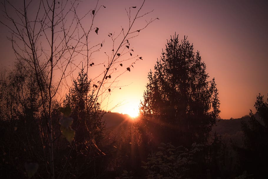 sunset, warm, nature, afterglow, abendstimmung, landscape, romantic HD wallpaper