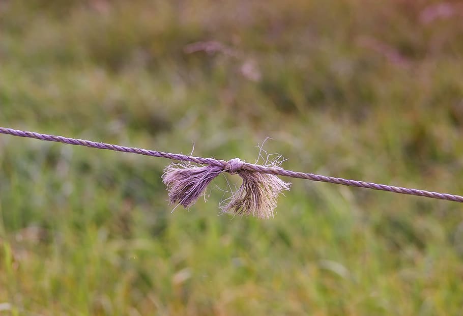 wire, knot, connection, leash, fransen, electric fence, interruption HD wallpaper