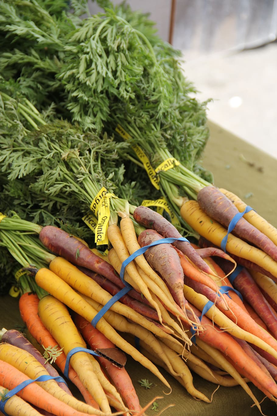 carrots, veggies, vegetables, root, food, ripe, healthy, fresh, HD wallpaper