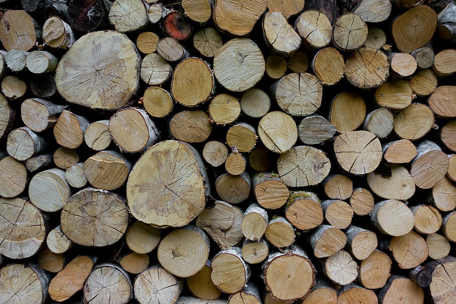 brown wooden firewood lot, holzstapel, forest workers, timber, HD wallpaper