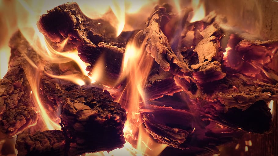 closeup photo burning wood, fire, embers, flame, heat, wood fire HD wallpaper