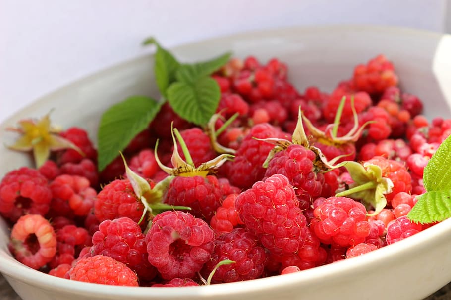 Raspberries, Leaf, Berry, green, food and drink, healthy eating HD wallpaper