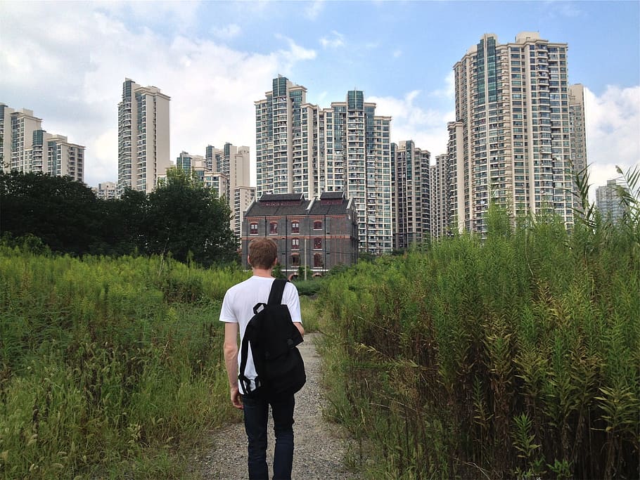 young, guy, student, walking, tshirt, backpack, trail, path HD wallpaper