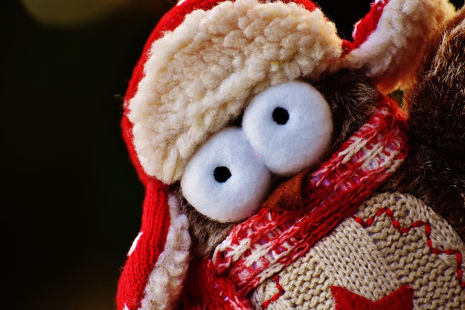 owl, plush, winter, funny, cap, scarf, bird, cute, decoration HD wallpaper
