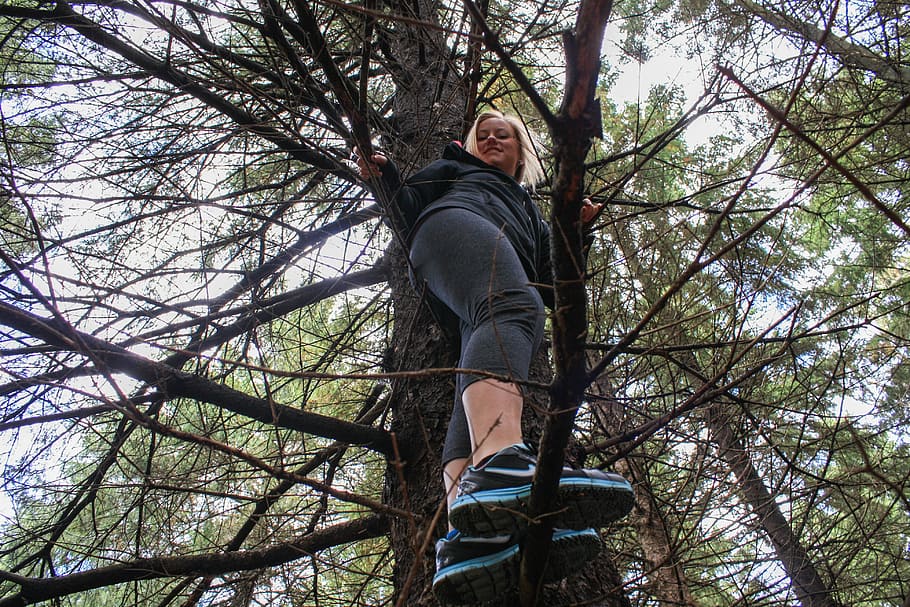 climb, tree, girl, action, branch, forest, woods, adventure HD wallpaper