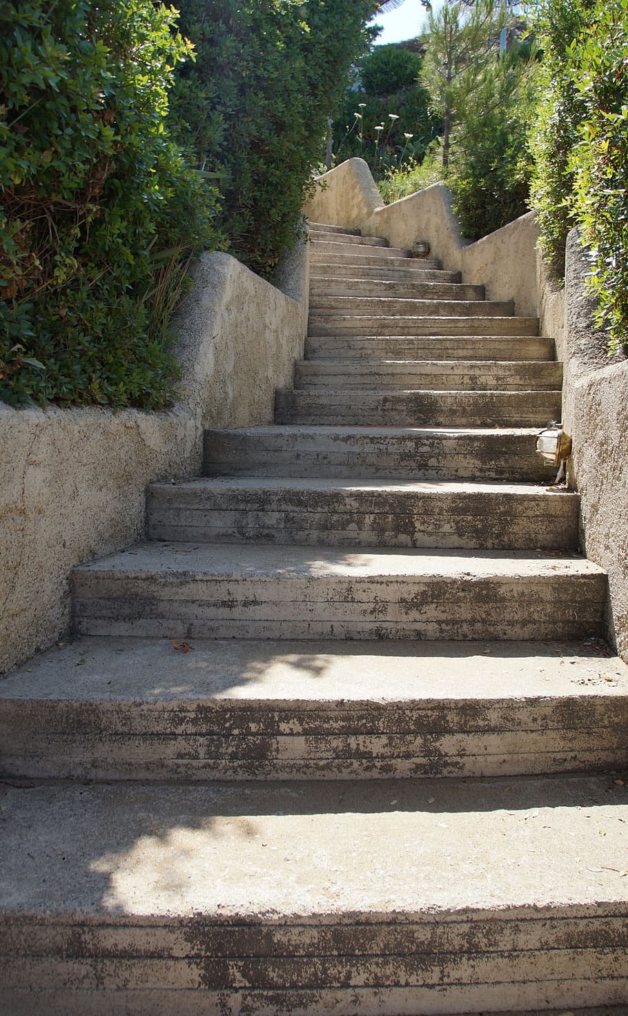 gray concrete stairs between plants at daytime photo, stone HD wallpaper