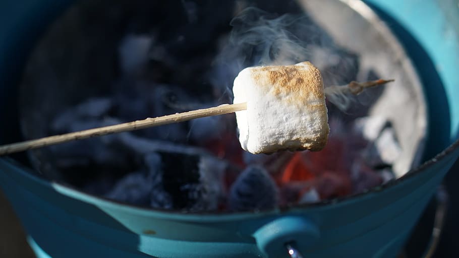 Marshmallow, Grilling, Charcoal, Fire, grille, glow, summer HD wallpaper