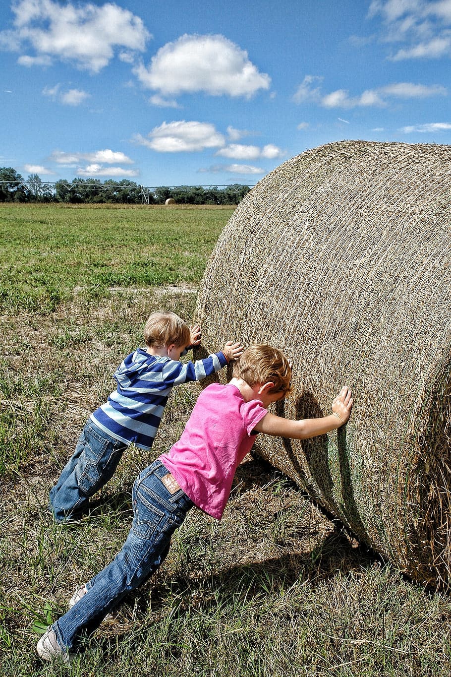 two children pushing haystack, teamwork, farm workers, co-operation HD wallpaper