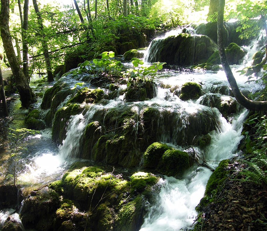 waterfall, croatia, plittvice, lakes, magic, nature, forest HD wallpaper