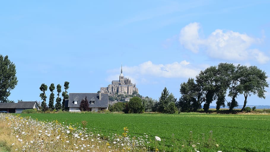 mont saint michel, mount, nature, fields, plant, built structure, HD wallpaper