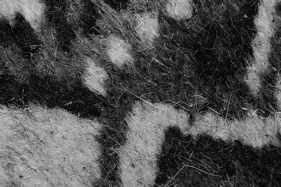 blanket, floor, pattern, graphics, hair, full frame, backgrounds HD wallpaper