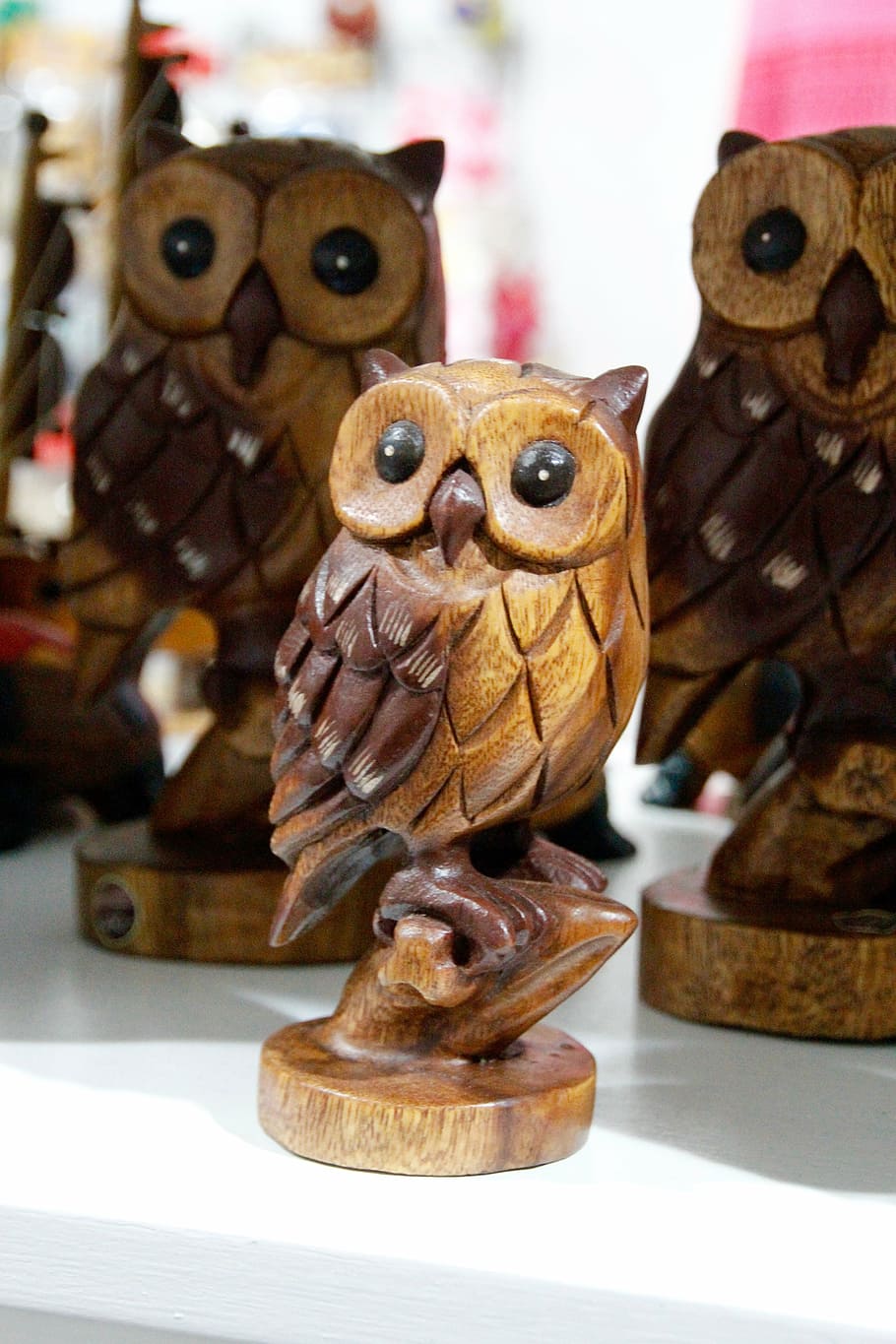 owl, eagle owl, young eagle owls, bird, feather, eurasian eagle european owl HD wallpaper