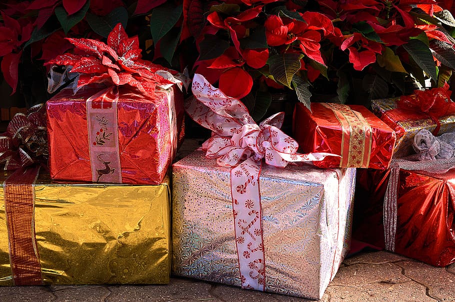four gift boxes, presents, christmas, gifts, holiday, festive, HD wallpaper